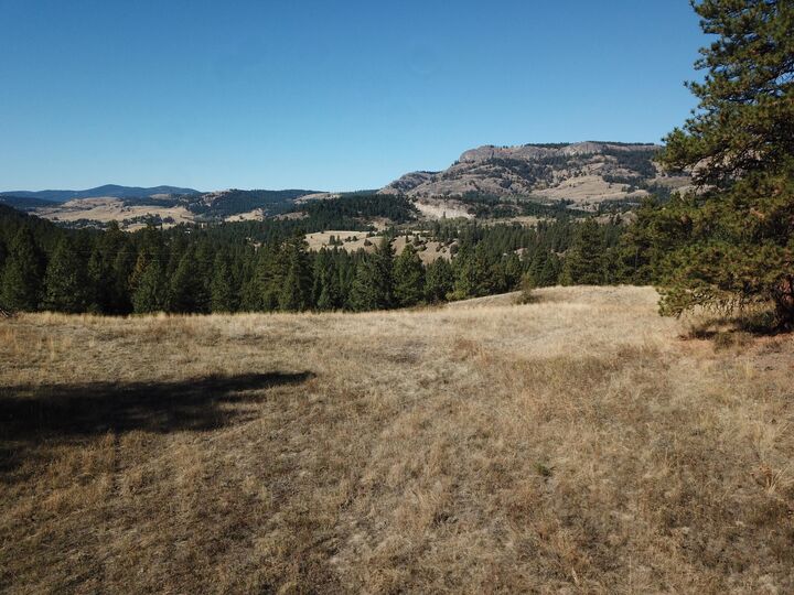 Property Photo: 68 Jostin Ln WA 99150