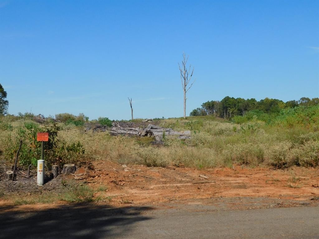 Property Photo: 0 Jackie Byrd Road LA 71064
