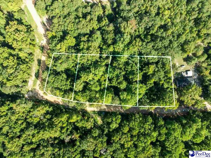Property Photo:  0000 Jeffrey St. Lot 77  SC 29520 