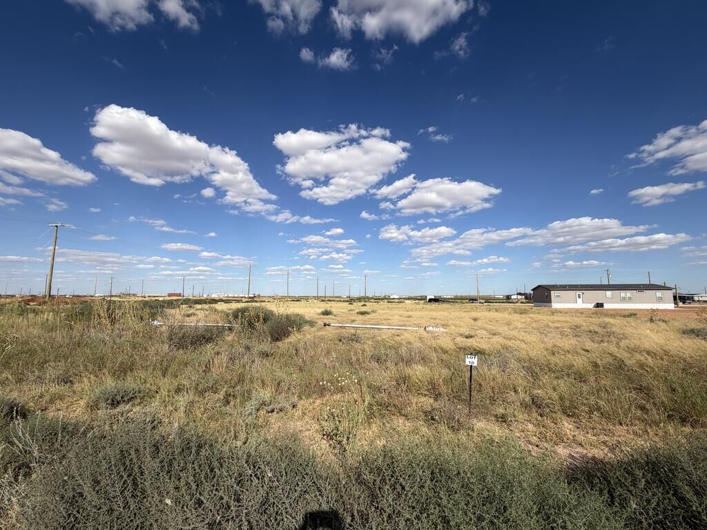 Property Photo:  10 S County Rd 1040  TX 79758 