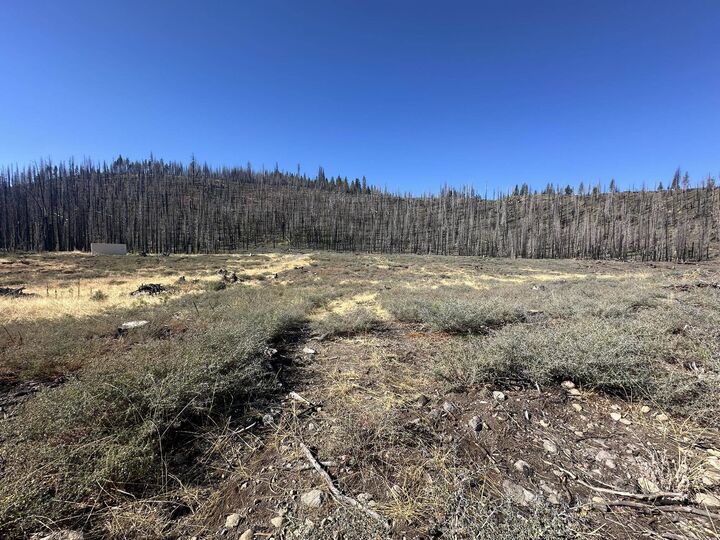 Property Photo:  7239 Rim Drive  CA 96020-0000 