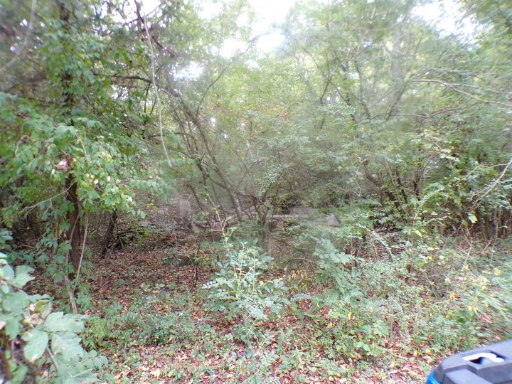 Property Photo: 000 Moody Ln AL 35616