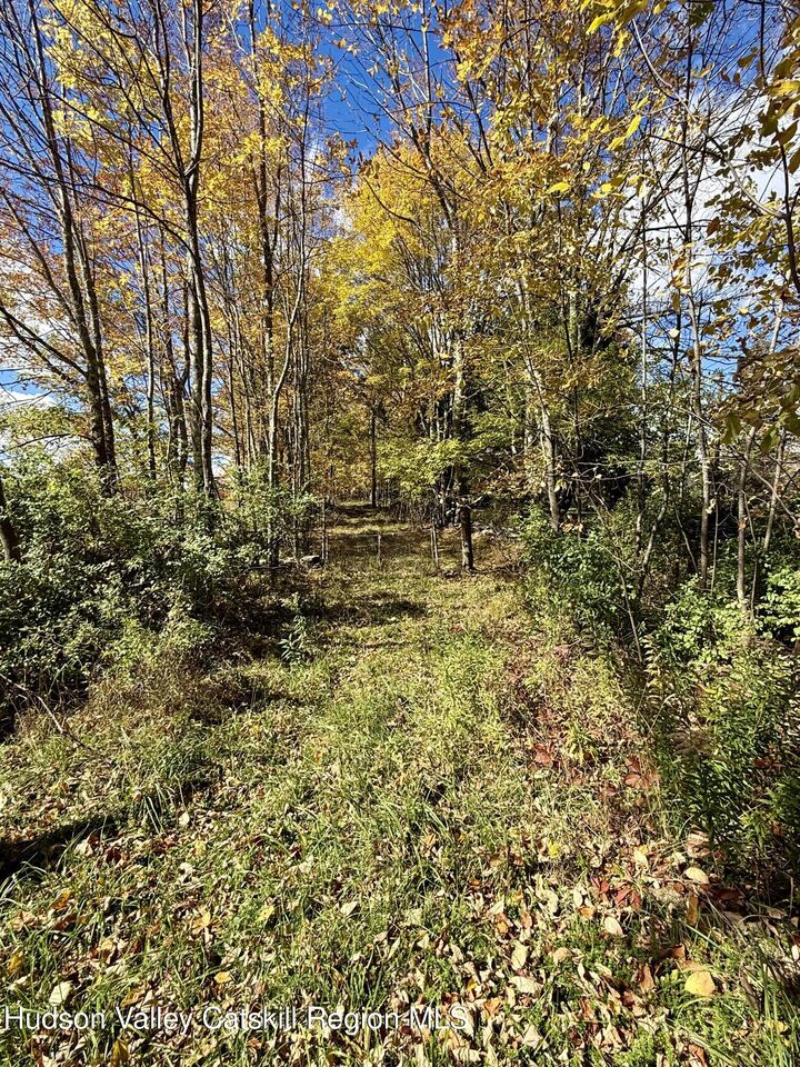 Property Photo: 0 Off Conifer Lake NY 12444
