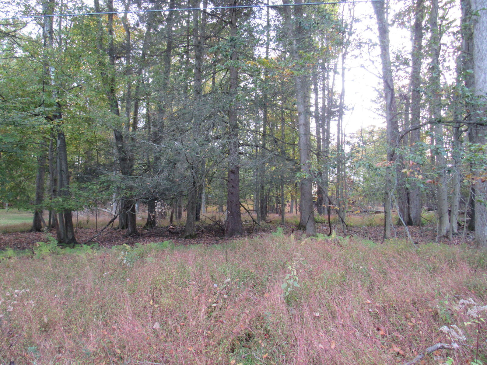 Property Photo: 6 Buccaneer Ln PA 15801