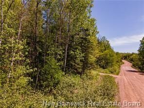 Property Photo:  Lot Creek Road  NB E5P 3C6 
