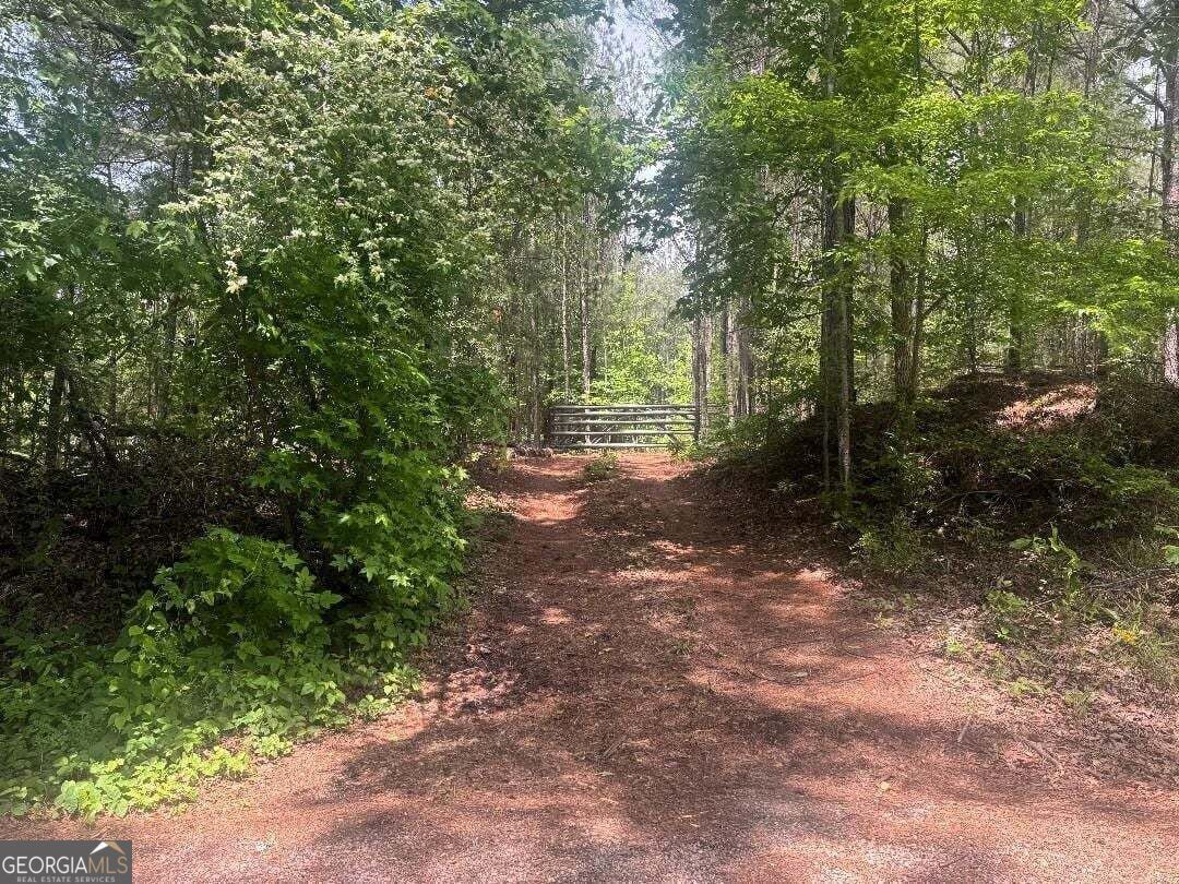 Property Photo: 0 Butler Bridge Road GA 30252