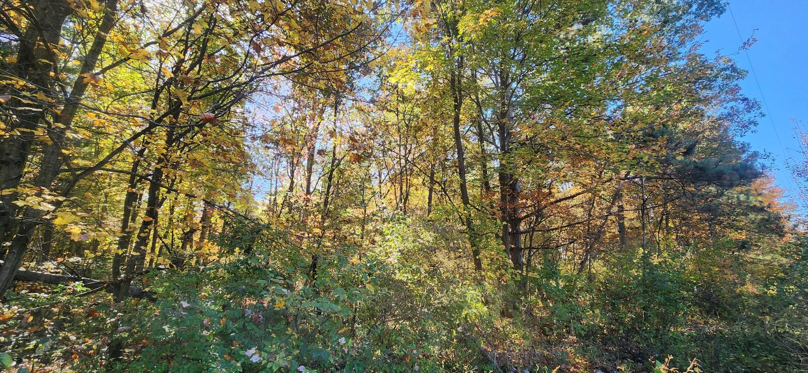 Property Photo: 0 E Riley-Thompson Road MI 49445