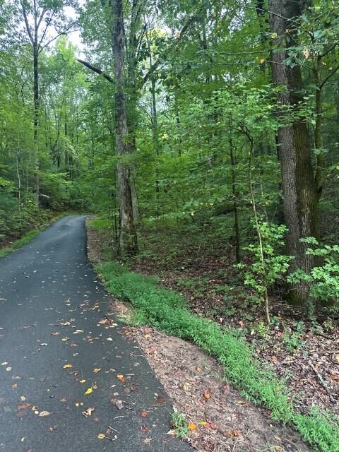 Property Photo:  Lots 3&4 Amicalola Woods Road  GA 30534 