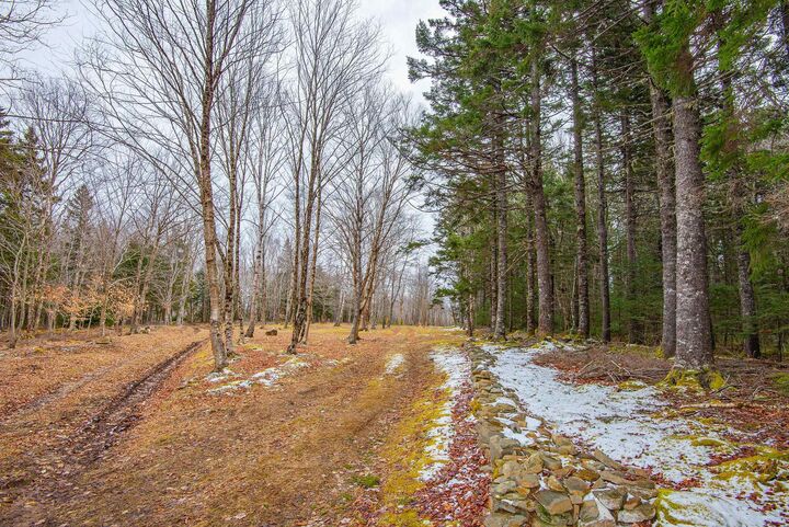 Property Photo:  Lot, Peter Leblanc Road  NS B0W 2J0 