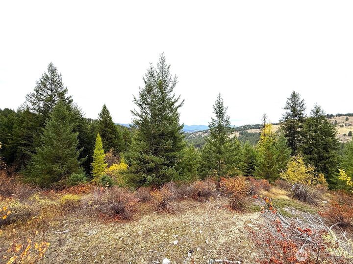 Property Photo:  91  Edgewood Lane  WA 99118 