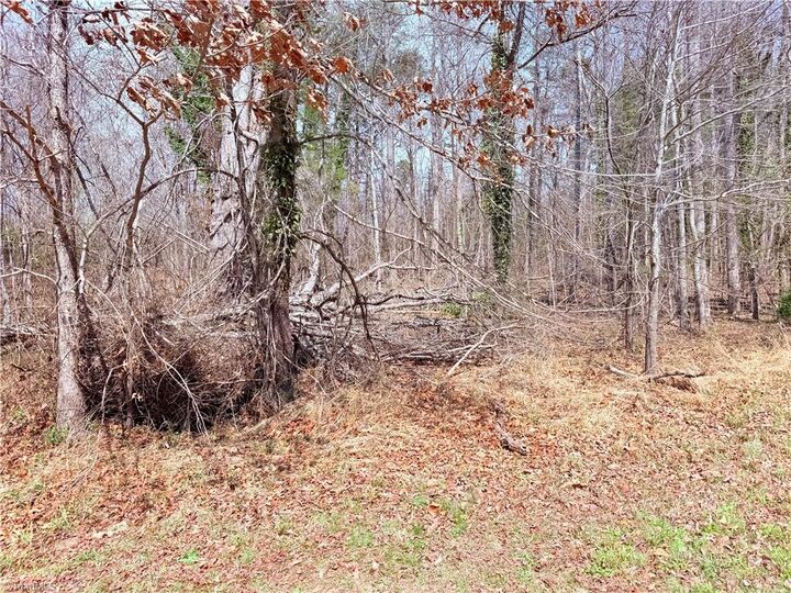Property Photo: 00 Ponderosa Road NC 27048