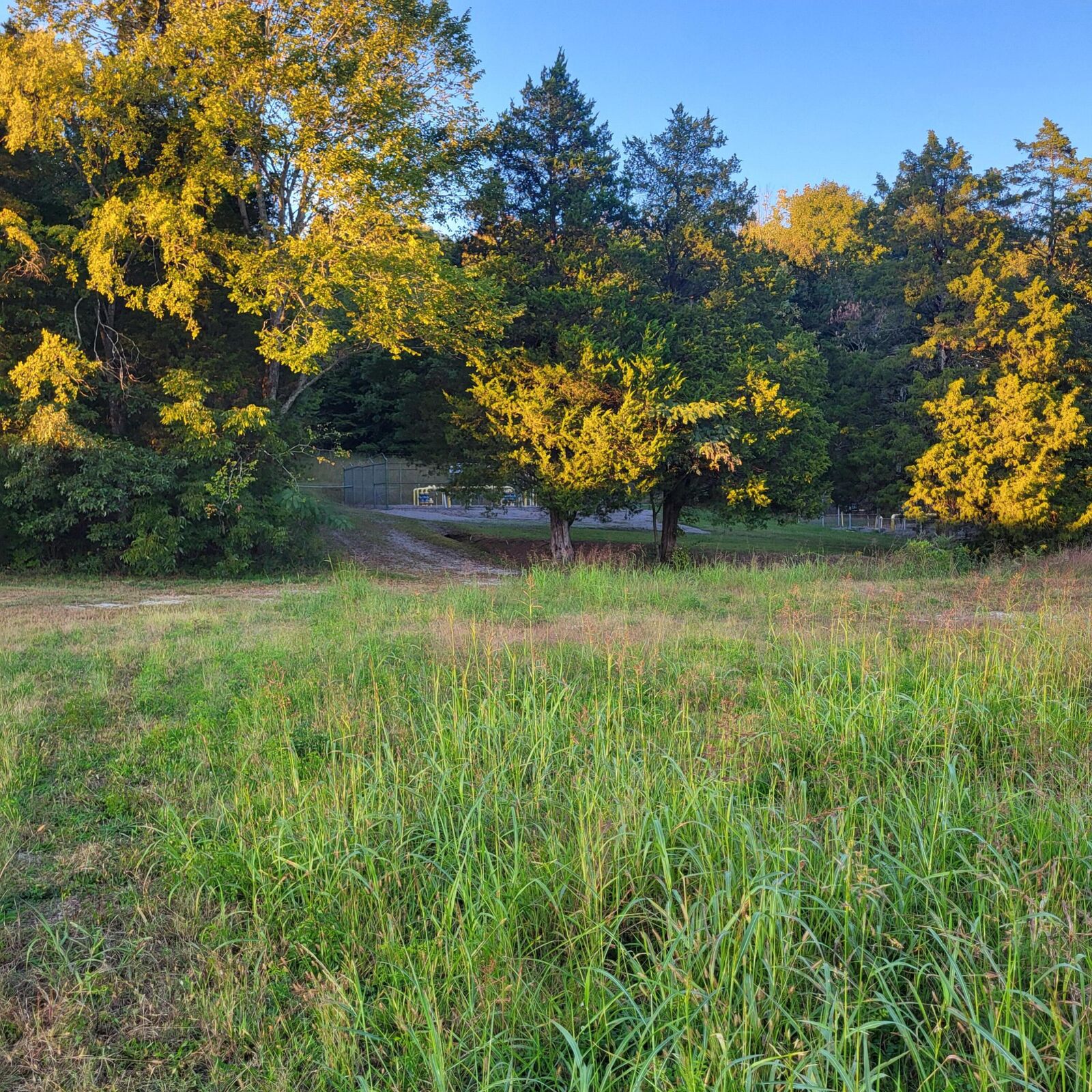 Property Photo: 800 David W Lillard Memorial Highway TN 37331