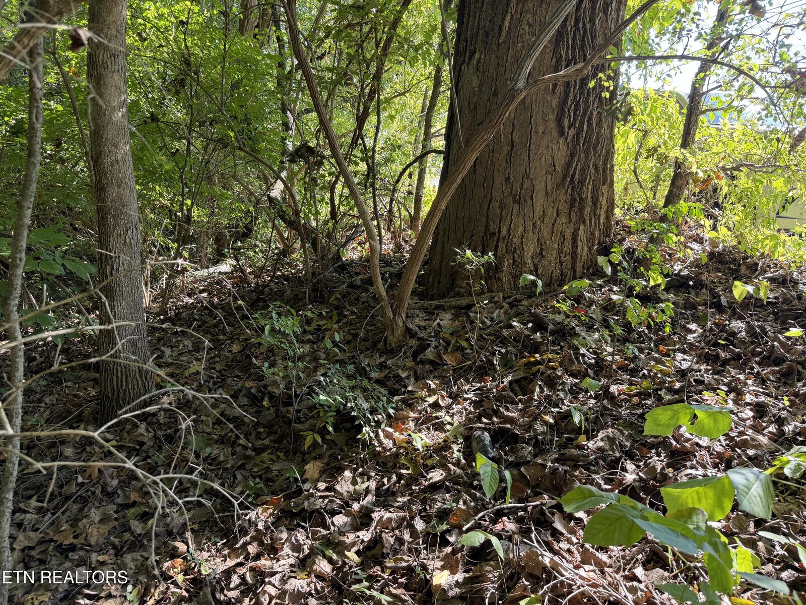 Property Photo:  0 Culpepper Rd  TN 37917 