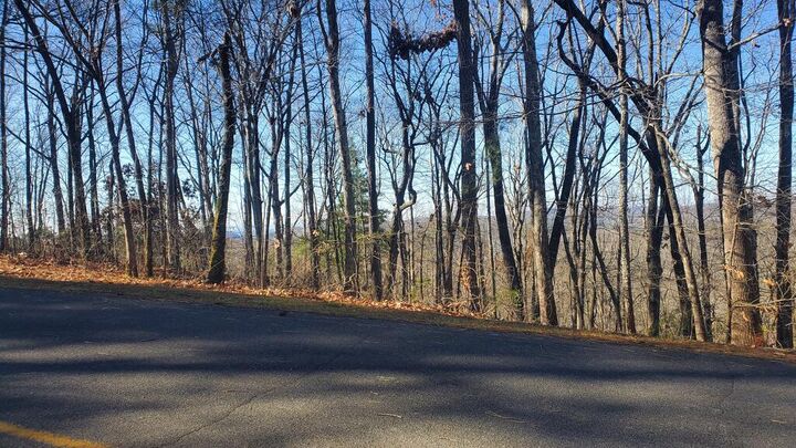 Property Photo:  Lt 171 Doll Mountain Road  GA 30540 