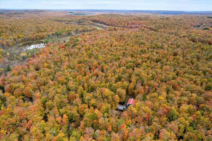 Property Photo: 4524 Summer Lane MI 49659