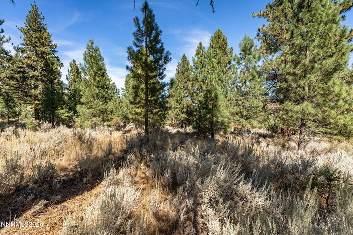 Property Photo: 900 Stutler Creek Court NV 89460