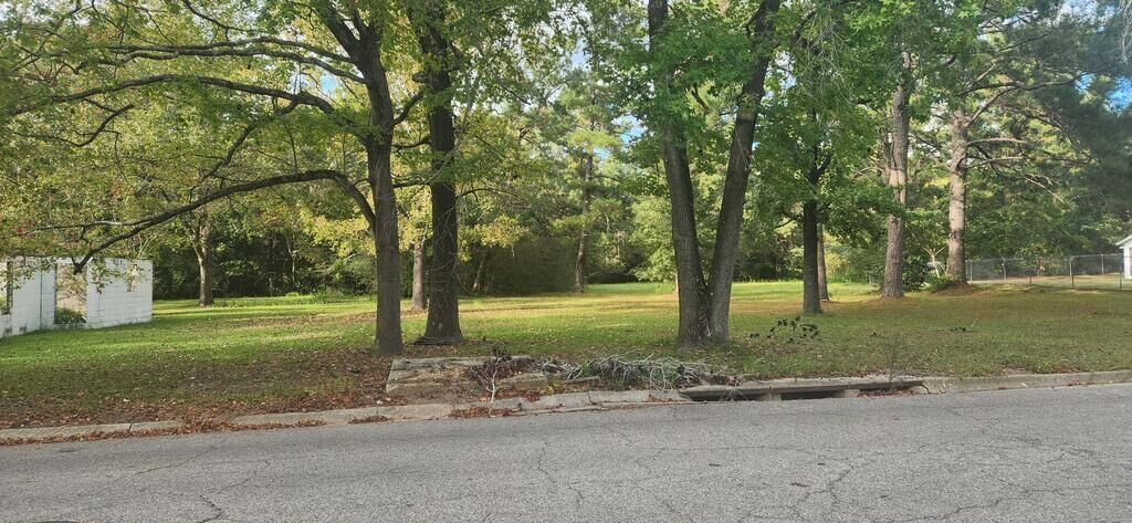 Property Photo:  317 E Spring 0 E Spring Street  AL 36303 