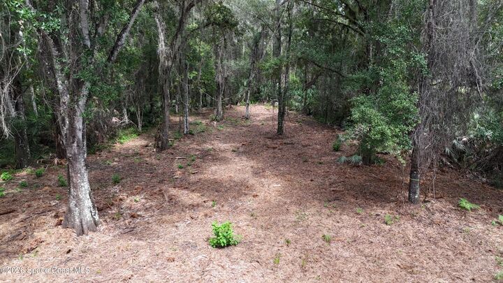 Property Photo: 0000 Quarterly Parkway FL 32833