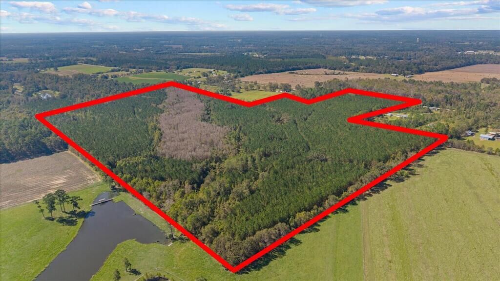 Property Photo:  000 Willie Varnum Road  AL 36301 