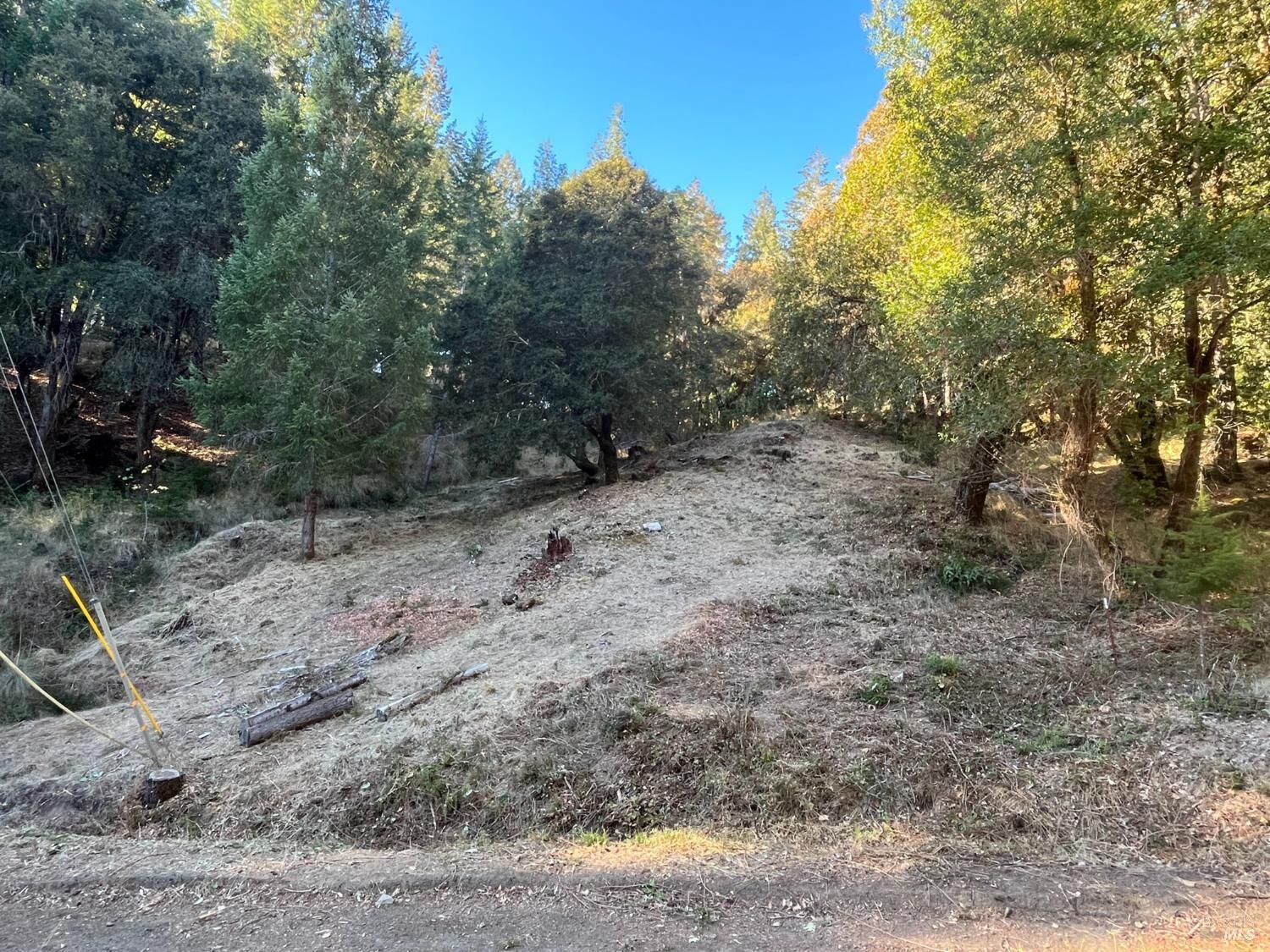 Property Photo: 24573 Cypress Drive CA 95490