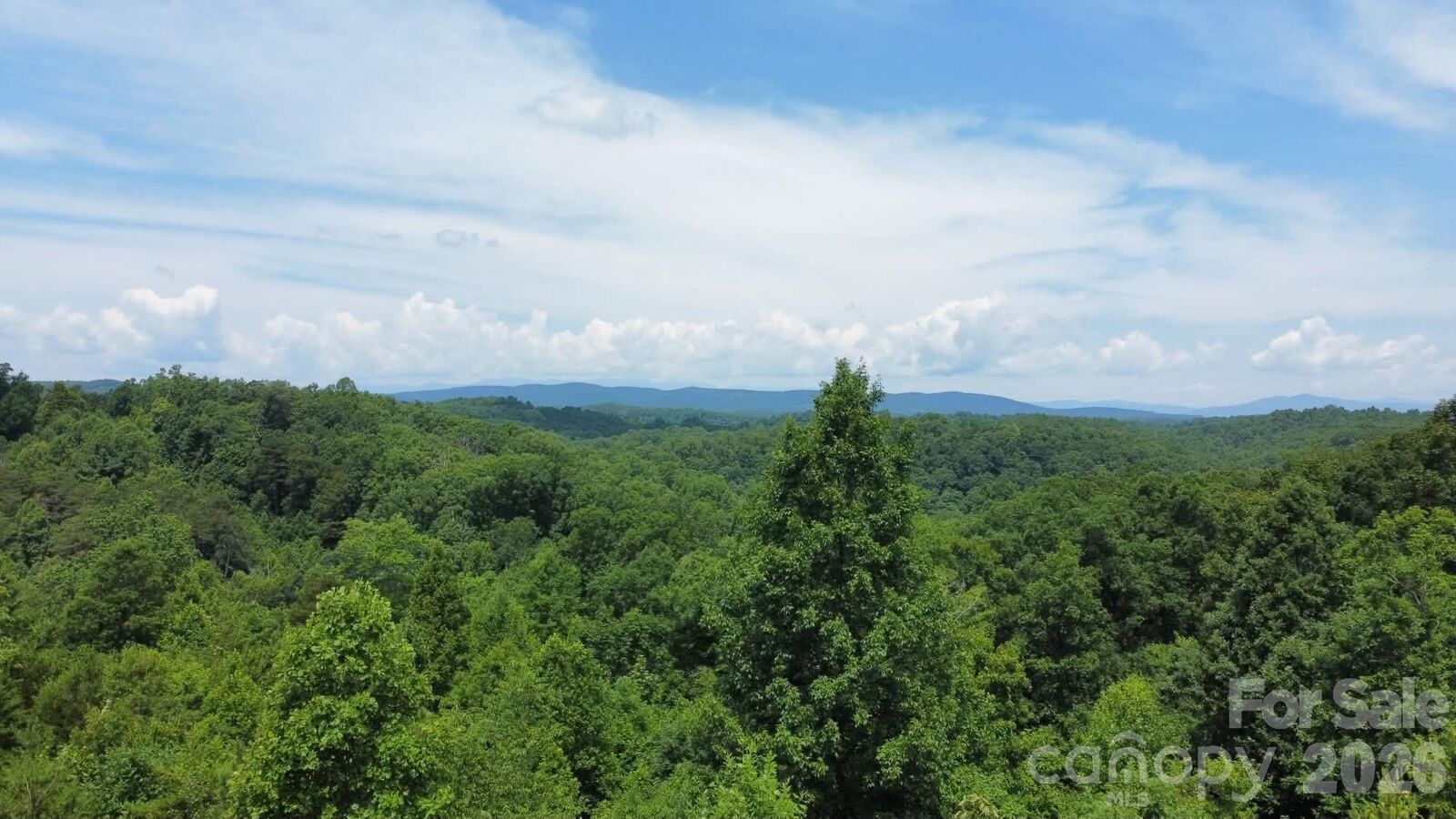 Property Photo:  15159 Hwy 226 South  NC 28167 
