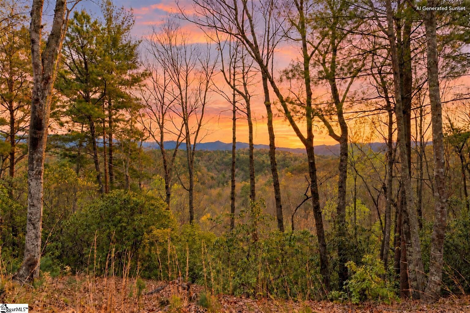 Property Photo: 217 Buttercup Way SC 29685