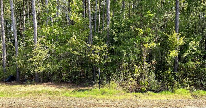 Property Photo: Craig Springs Road MS 39769