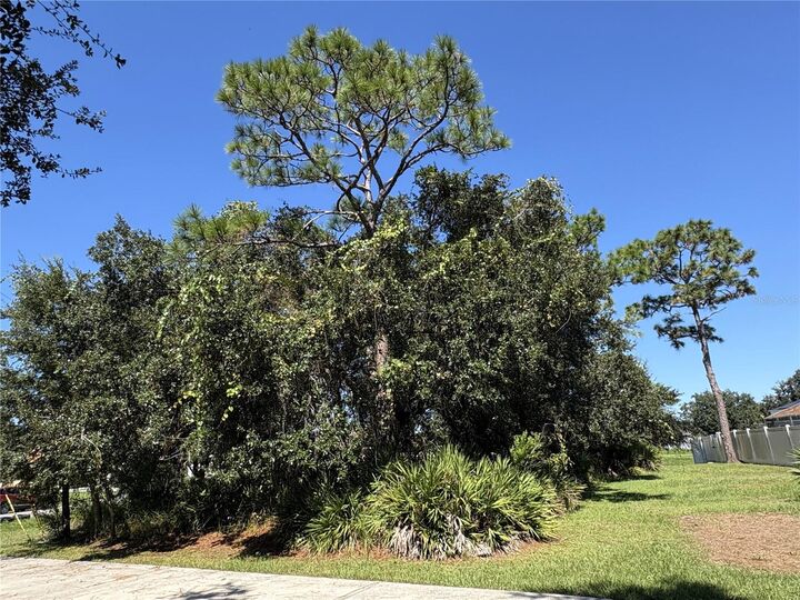 Property Photo:  539 Eagle Court Lot 23  FL 34759 