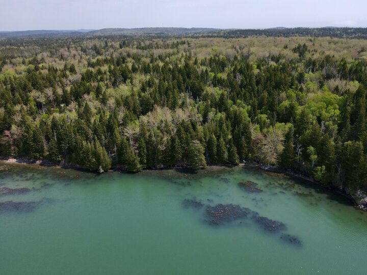 Property Photo: Lot 20-15 Collins Cove Road ME 04655