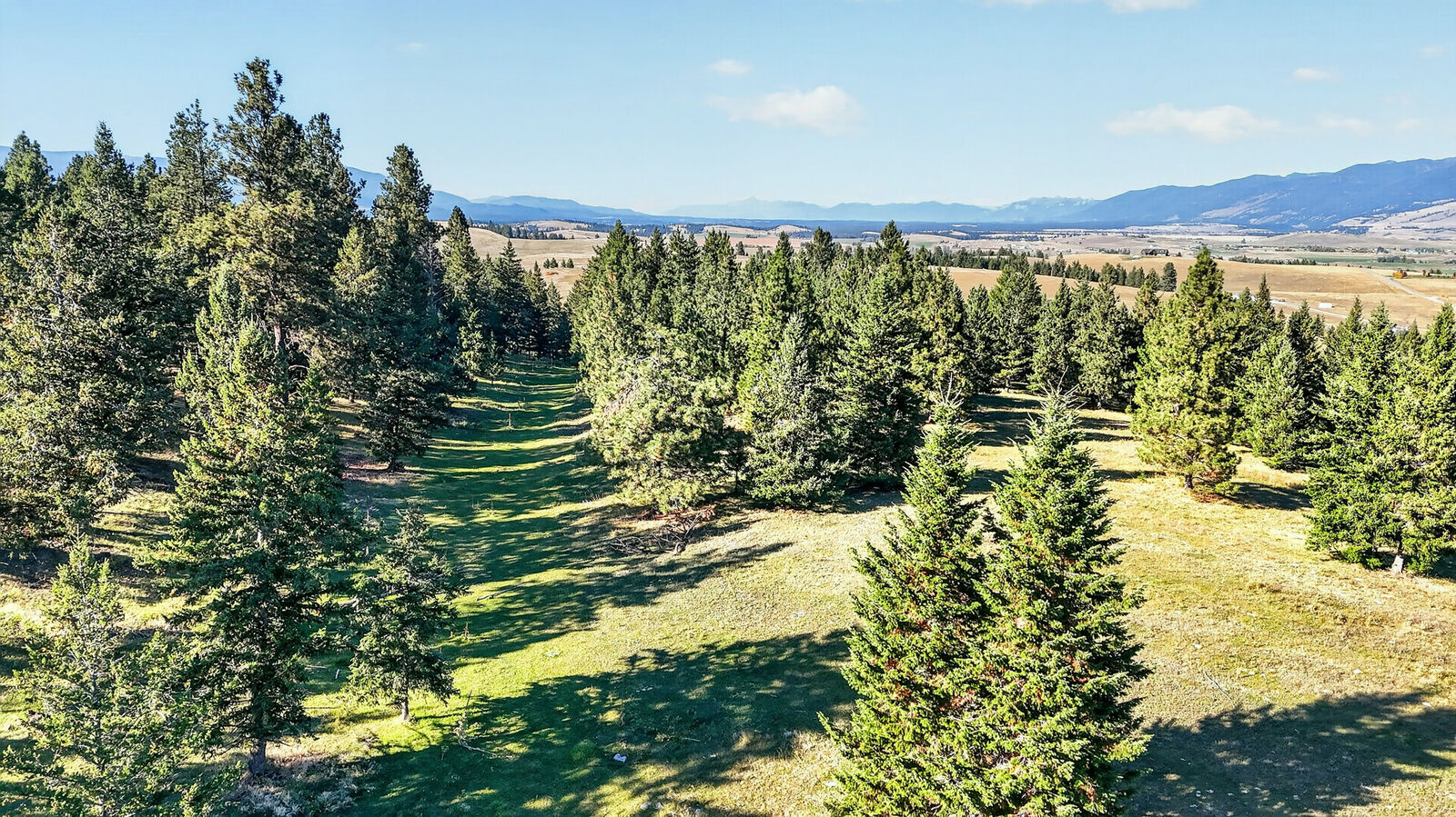 Property Photo: Nhn Black Lake Road MT 59930