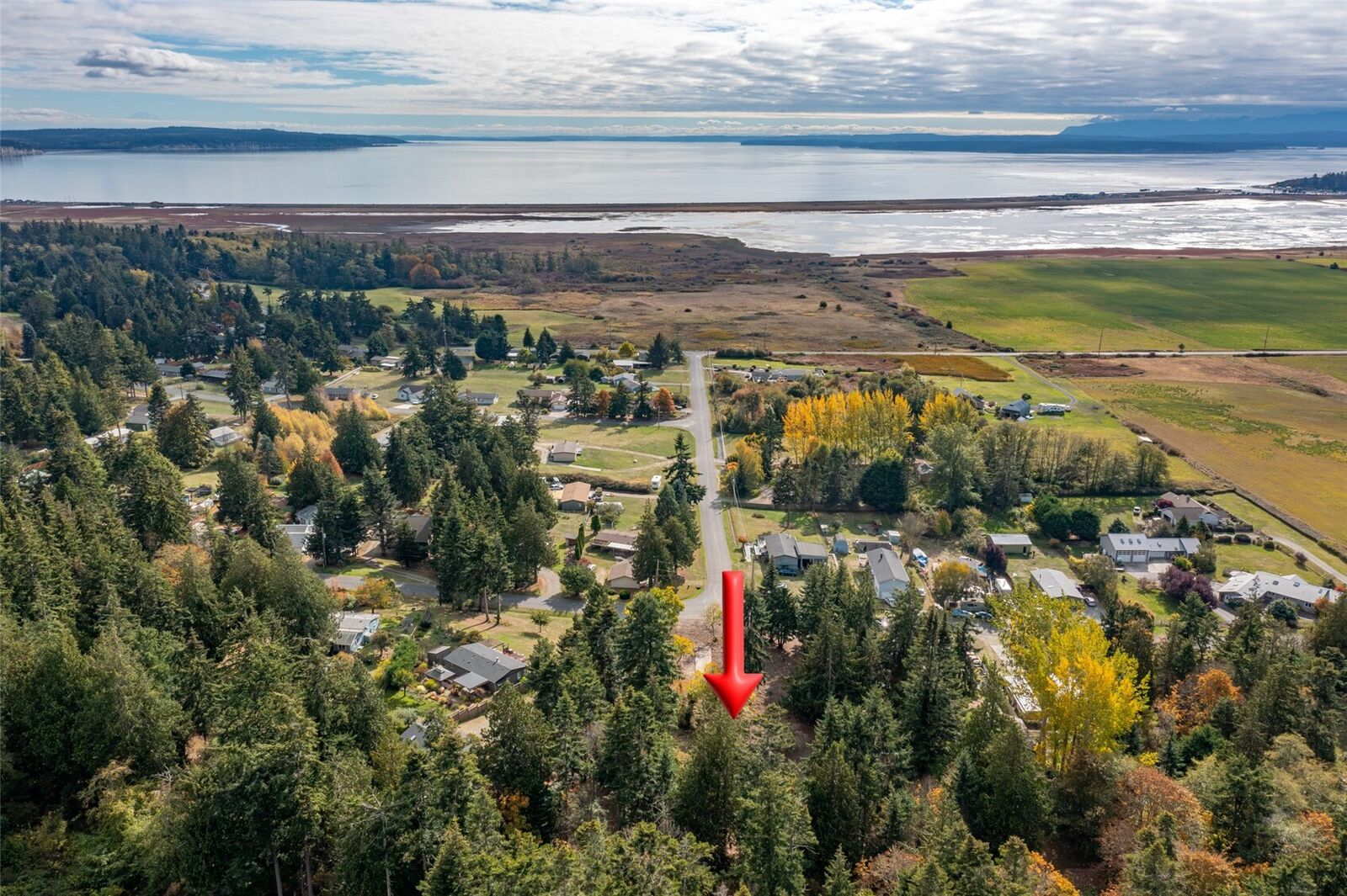 Property Photo: 666 Olympic View Drive WA 98277