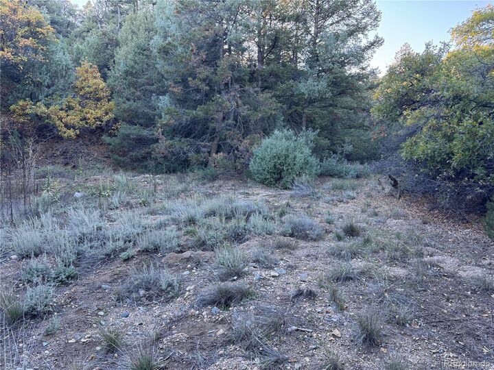 Property Photo:  378 Lower Camp Road  CO 81233 
