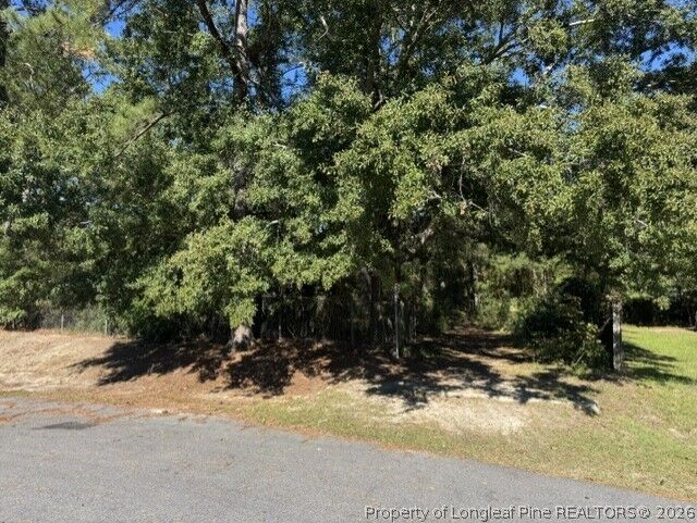 Property Photo: 5479 Falling Waters Drive NC 28348