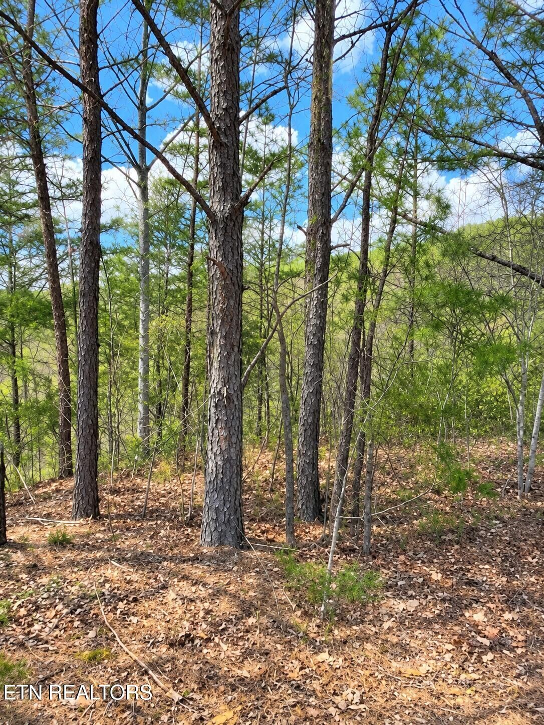 Property Photo:  Lot 90 Mountain Blvd  TN 37876 