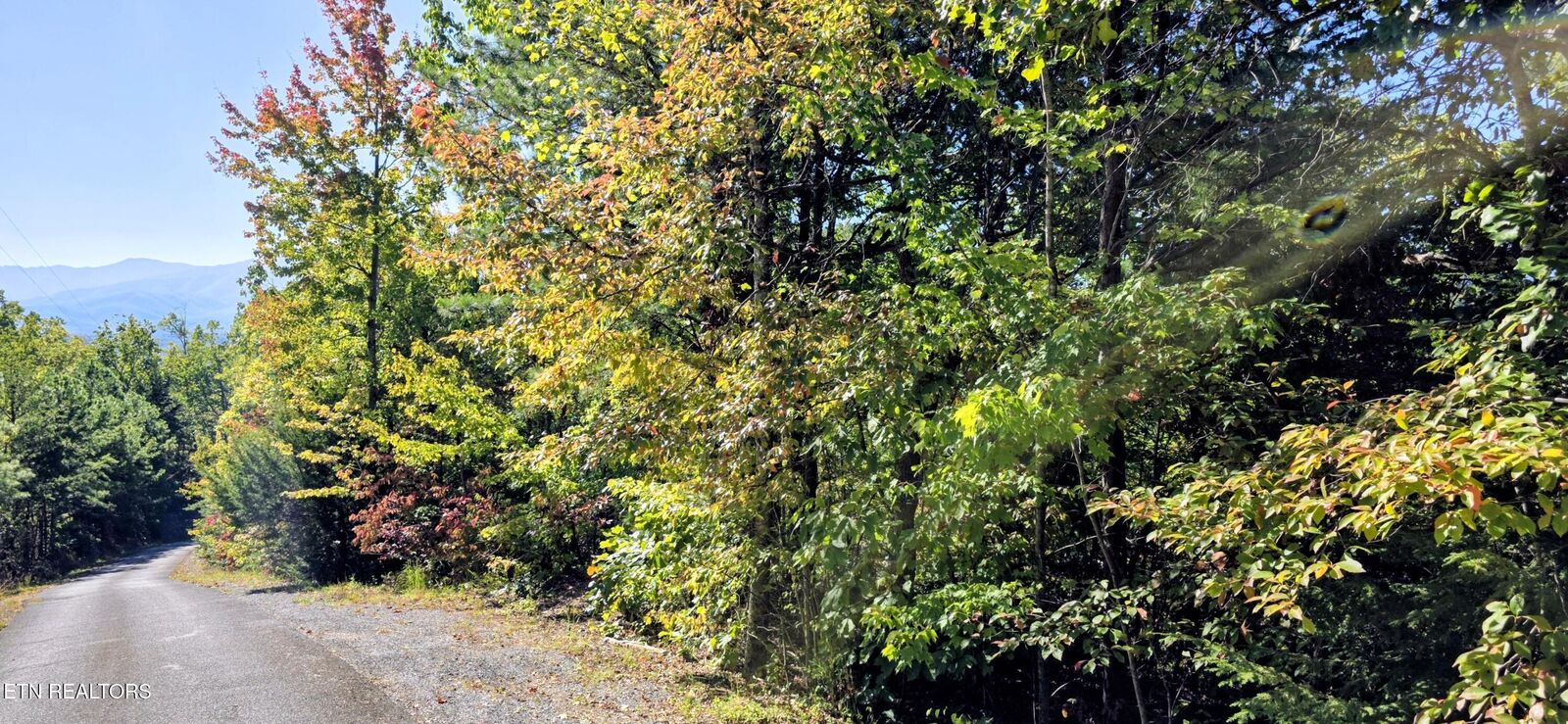 Property Photo:  Lot 90 Mountain Blvd  TN 37876 