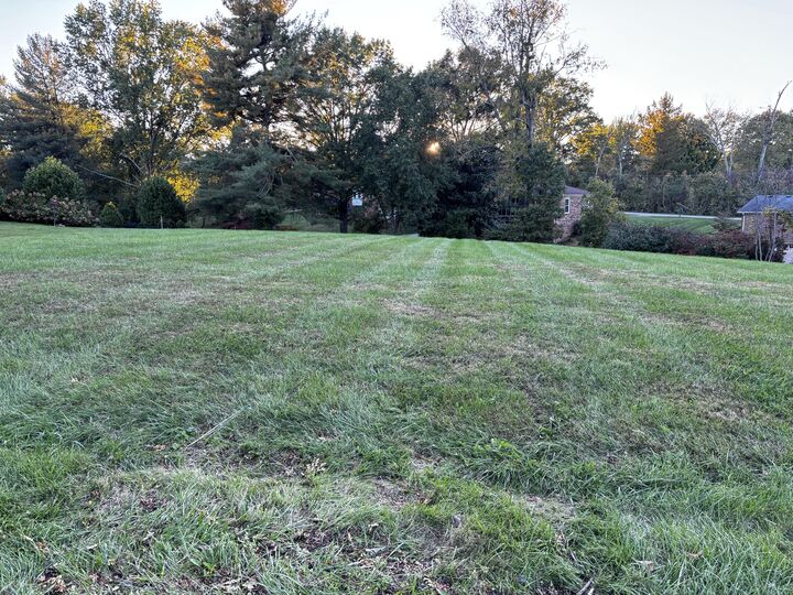 Property Photo:  13 Whitebridge Lane  KY 40601 