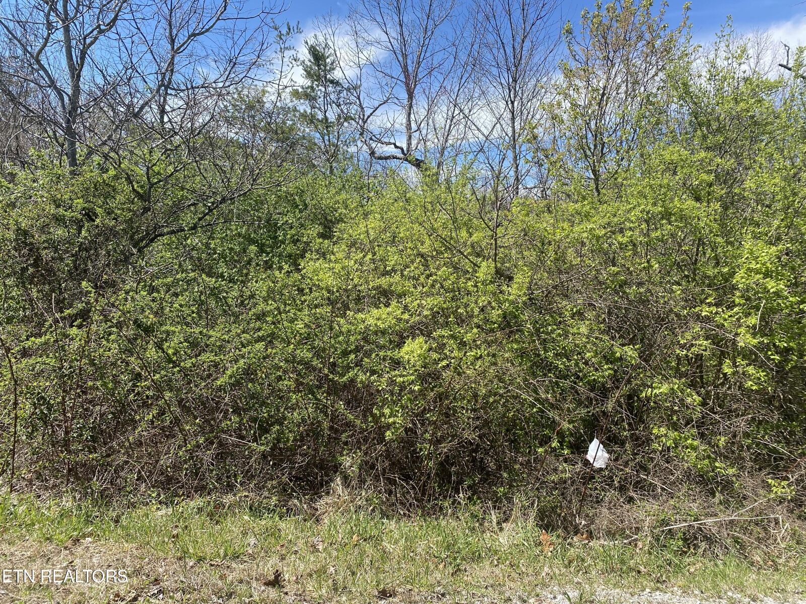 Property Photo:  6 S Hwy 127 N  TN 38555 