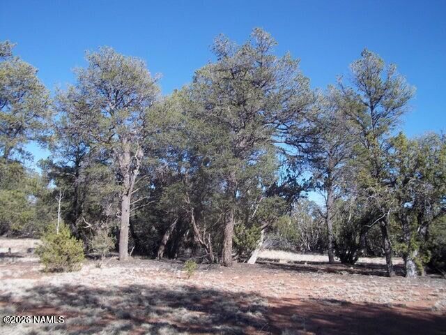 Property Photo: 4685 N Cattle Guard Road AZ 86046