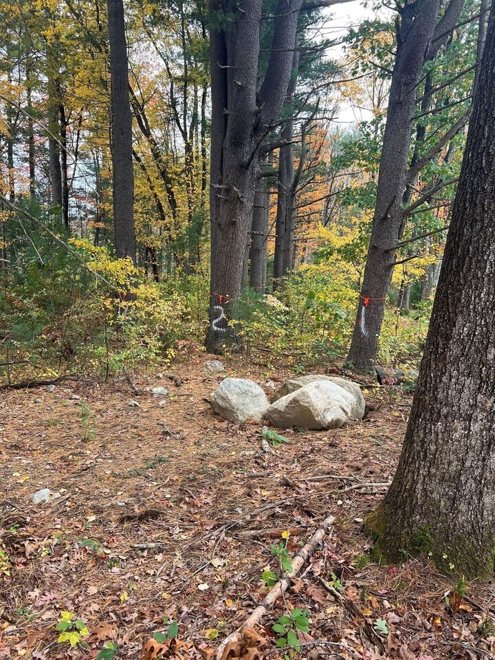 Property Photo:  255 Gulf Street  MA 01545 