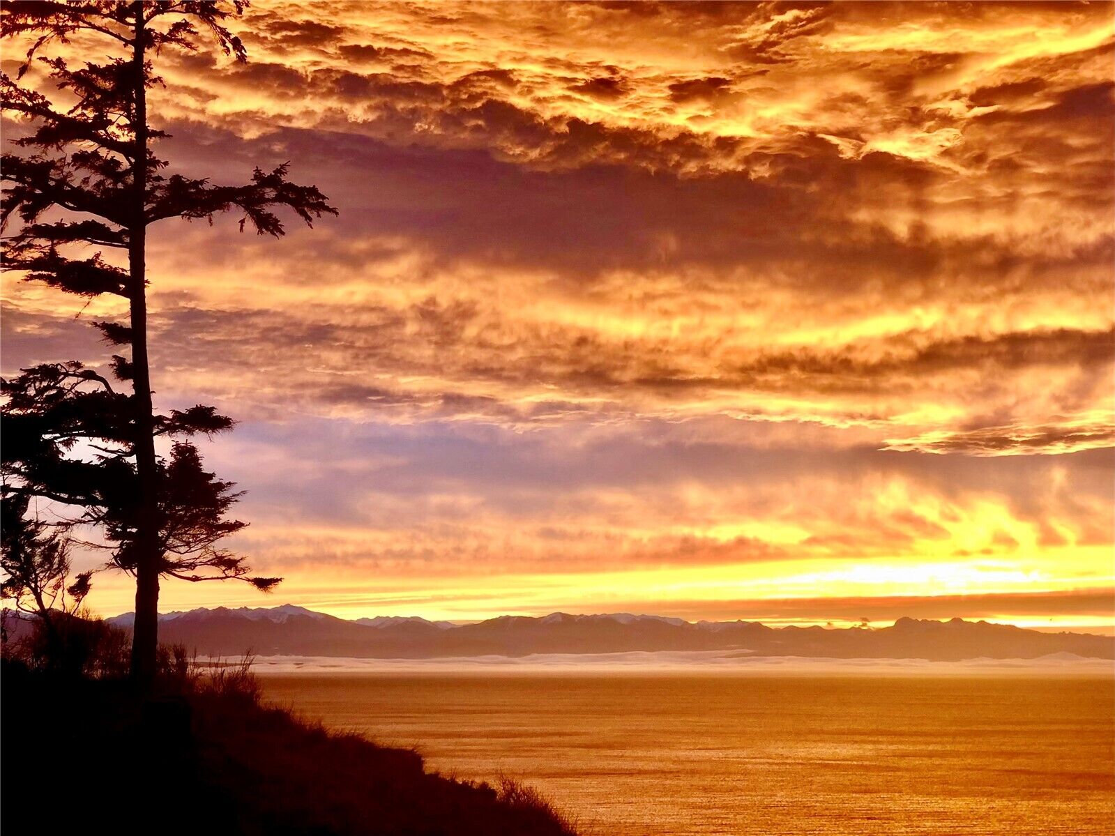 Property Photo:  2285  West Beach Road #C  WA 98277 