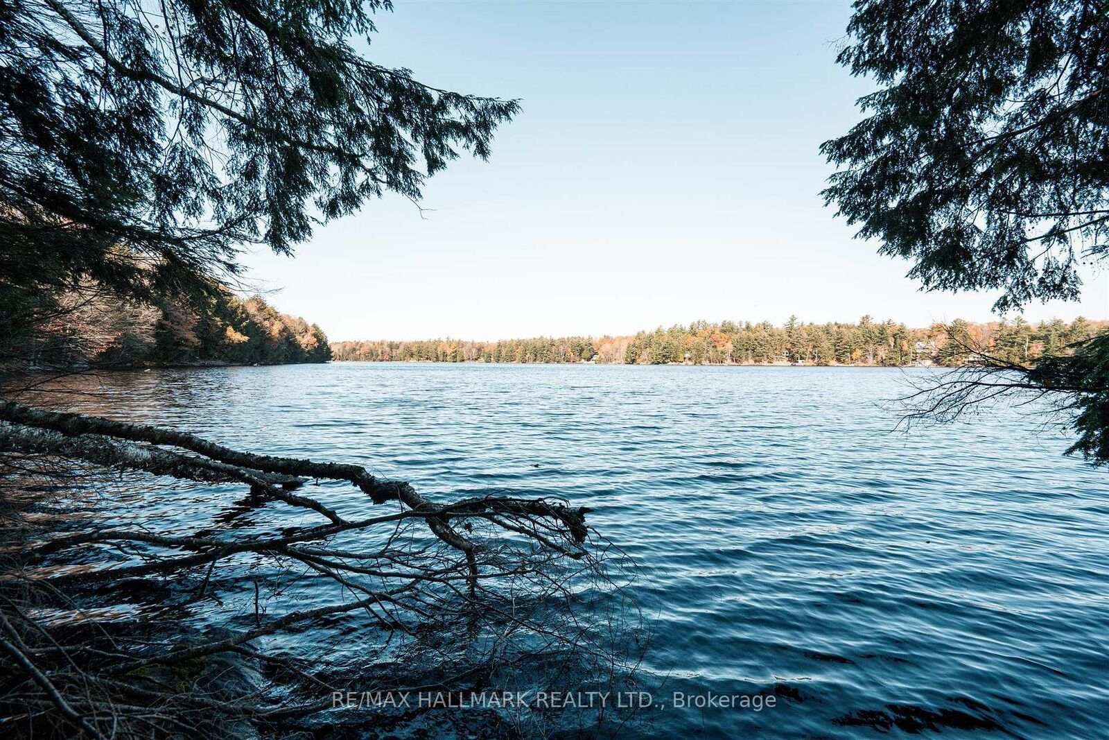 Property Photo:  1310 Camel Lake Road Unit 11 Lot 5  ON P1L 1X4 