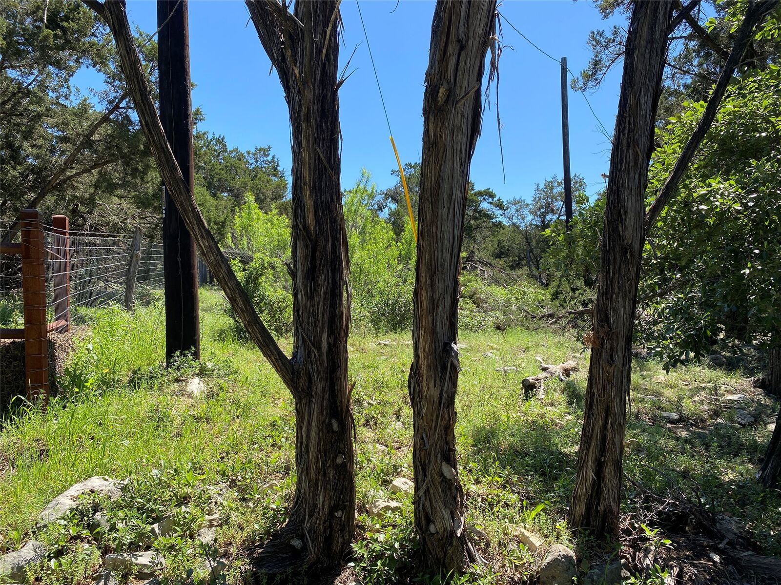 Property Photo:  2934 Elm Terrace Lane  TX 78676 