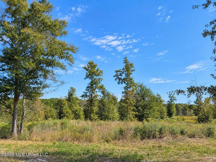Property Photo:  23.21 +/- Ac Industrial Park Road  MS 39451 