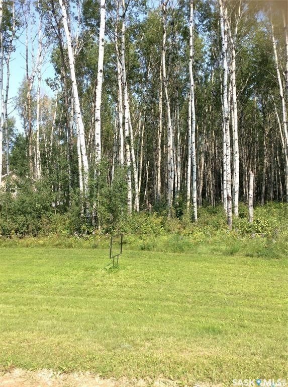 Property Photo:  Lot 13 Rural Address  SK S0J 0E0 
