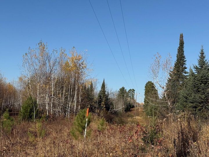 Property Photo:  93359 Mn-23  MN 55749 