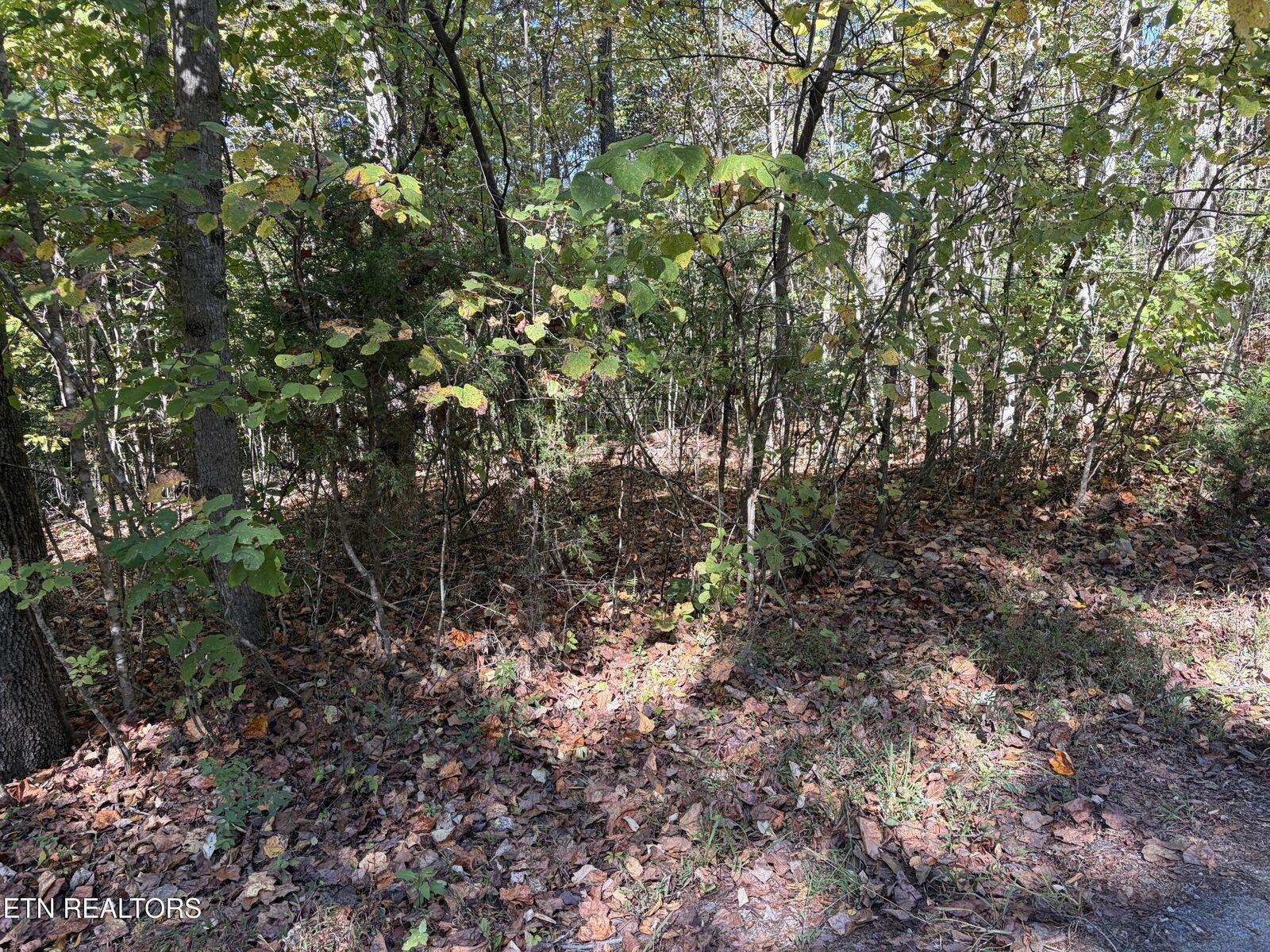 Property Photo: Lot 222 Jade Lane TN 37825