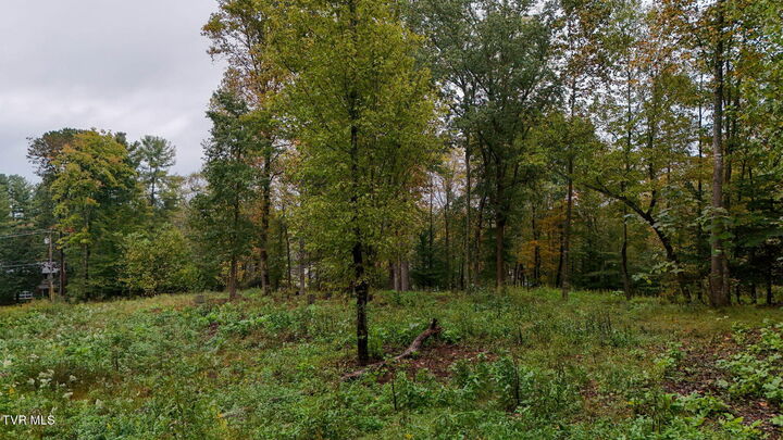 Property Photo:
