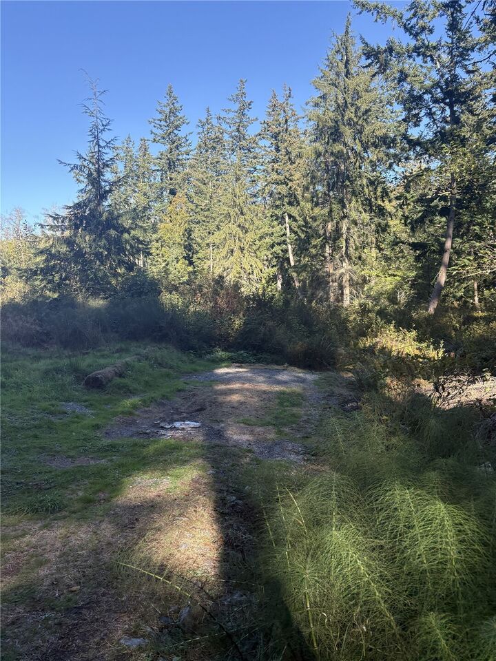 Property Photo: 473 Boyer Lane WA 98249