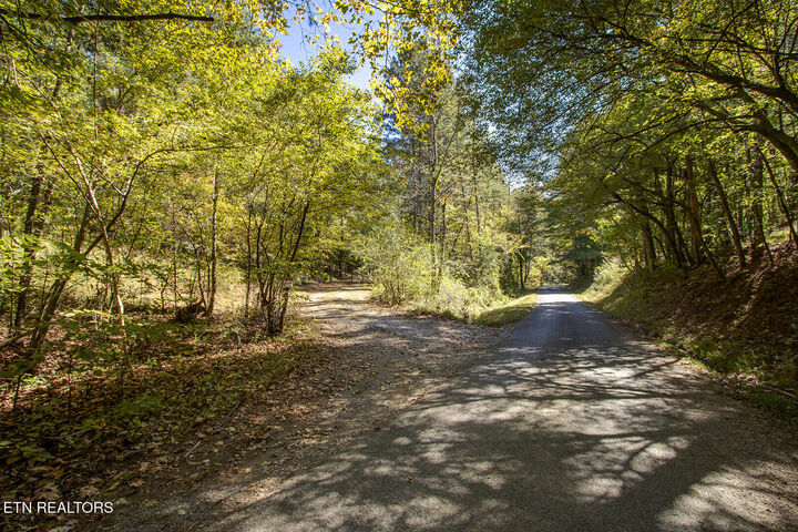 Property Photo:  146 Bent Creek Tr  TN 37329 