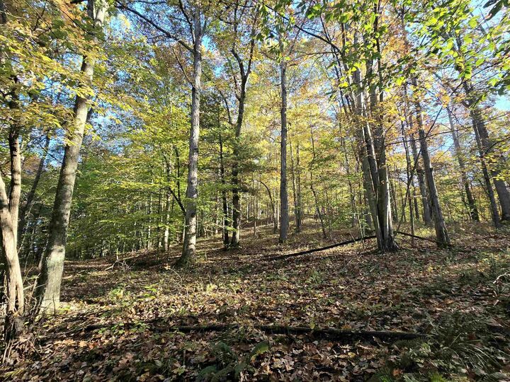 Property Photo:  Rt 4- Broad Run  WV 26339 